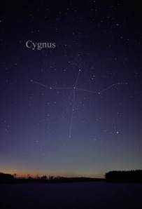 The constellation Cygnus as it can be seen by the naked eye.  Credit: http://en.wikipedia.org/wiki/Cygnus_(constellation)